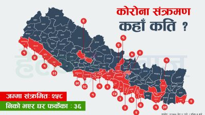 यी हुन् कोरोना संक्रमित भेटिएका २४ जिल्ला, कहाँ कति संक्रमित…