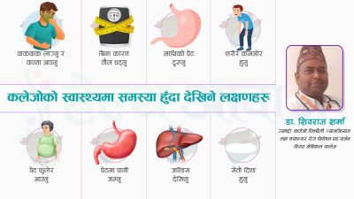 कलेजो खराब हुँदा देखिन्छन् यस्ता लक्षण, कसरी जोगाउन सकिन्छ ?